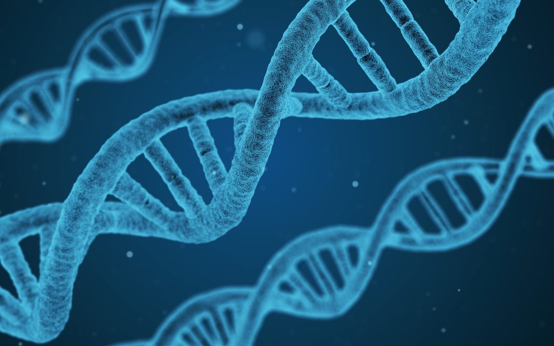 Génome : grandes variations génétiques entre les hommes