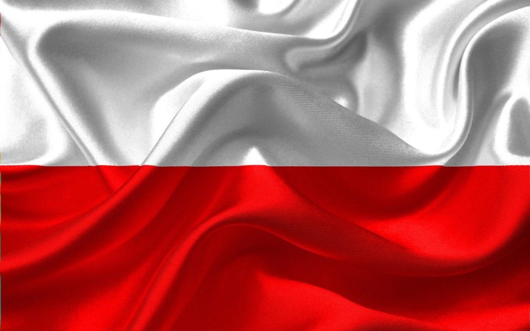 Pologne : Une centaine de députés saisit le Tribunal Constitutionnel pour remettre en cause les exceptions à l’IVG