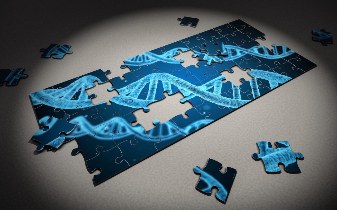 Edition du génome : les TALENs cinq fois plus efficaces que CRISPR sur les ADN denses