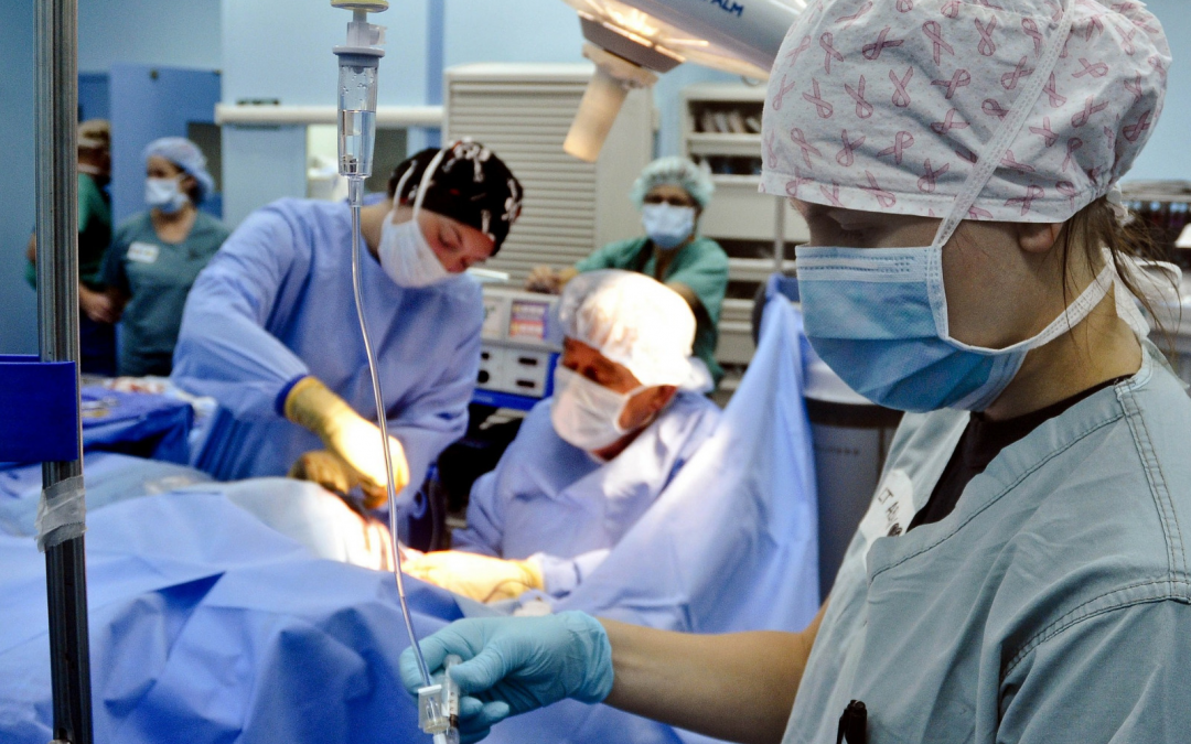 Ecosse : un plan quinquennal pour augmenter les transplantations d’organes