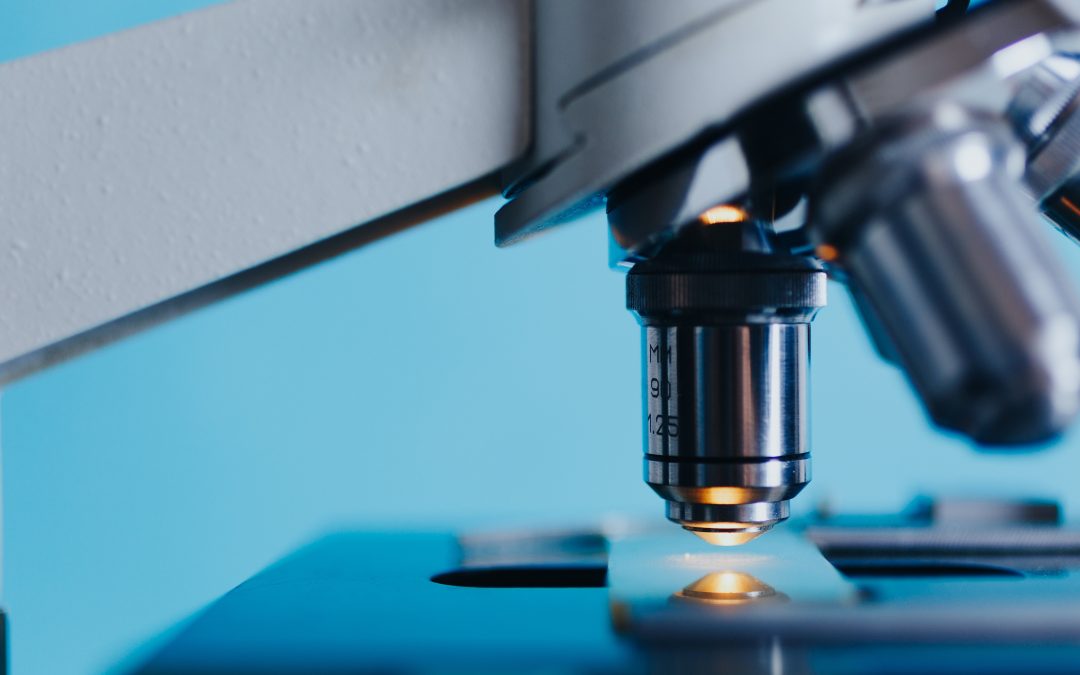 Cellules souches embryonnaires humaines : l’Etat de New-York stoppe les recherches