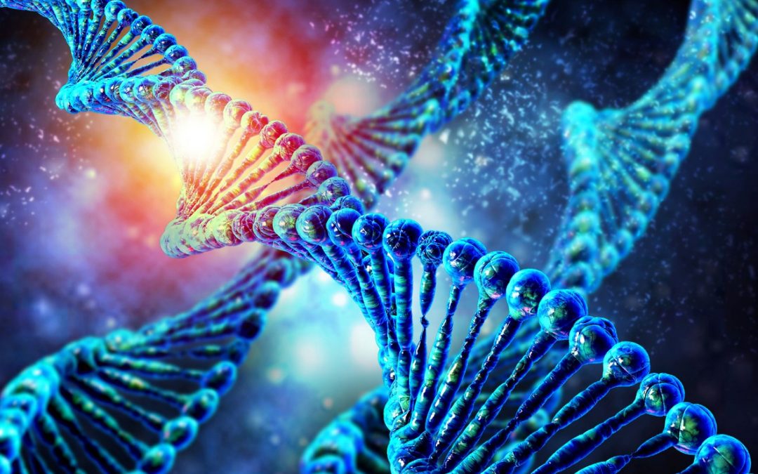 Editer le génome : des conséquences imprévisibles ?