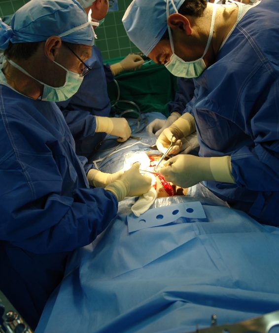 L’Agence de la biomédecine fait un premier bilan du protocole de don d’organes « Maastricht III »