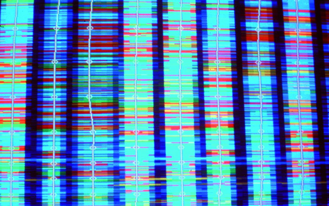 Tests génétiques : richesse et danger