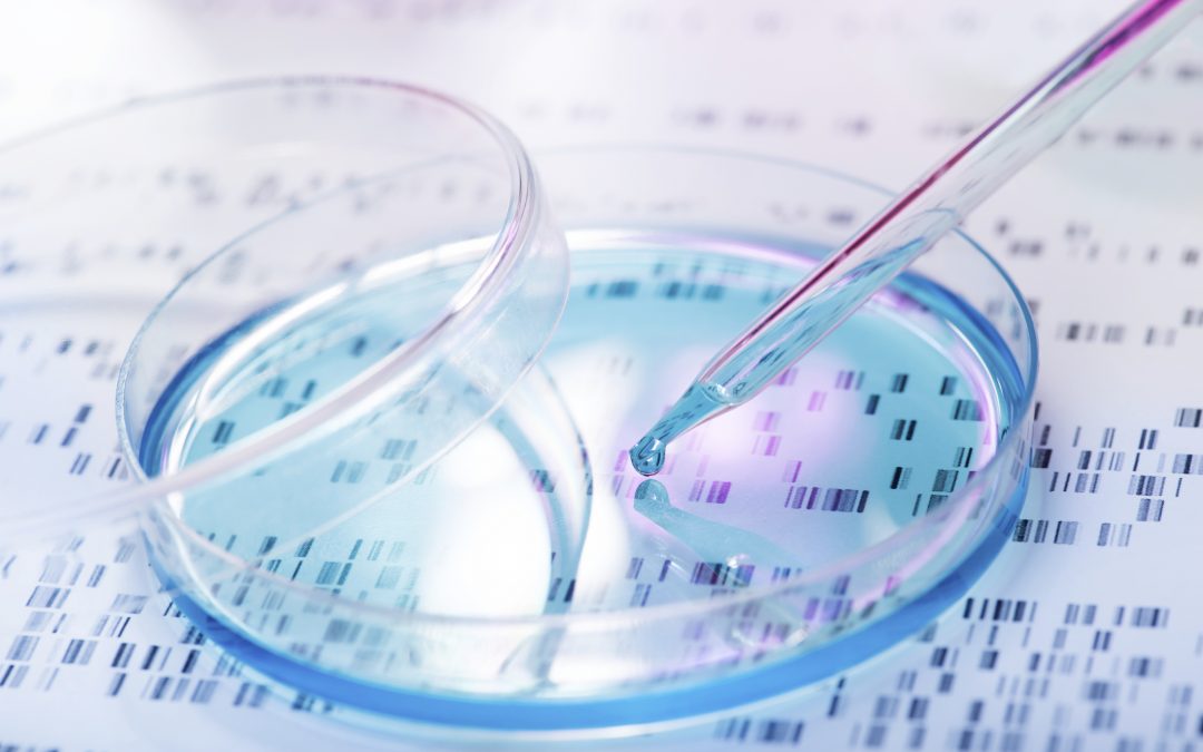 Genome-editing : Une alternative à l’outil CRISPR-Cas9 plus performante ?