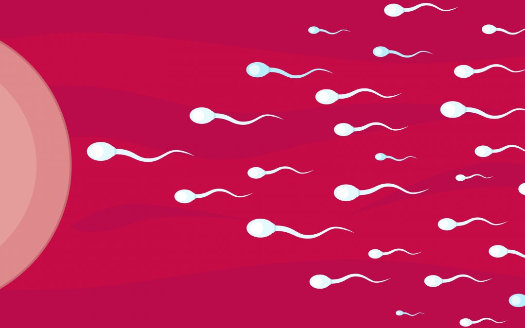 Dons de sperme et paternité
