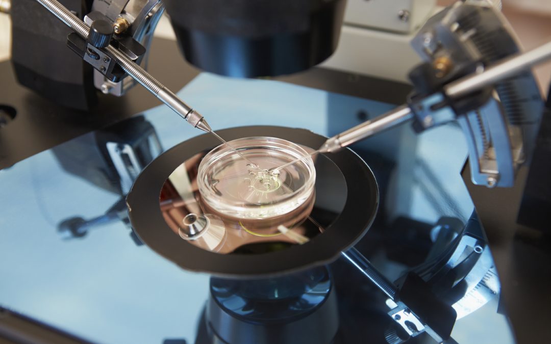 Development of a new in-vitro fertilisation technique