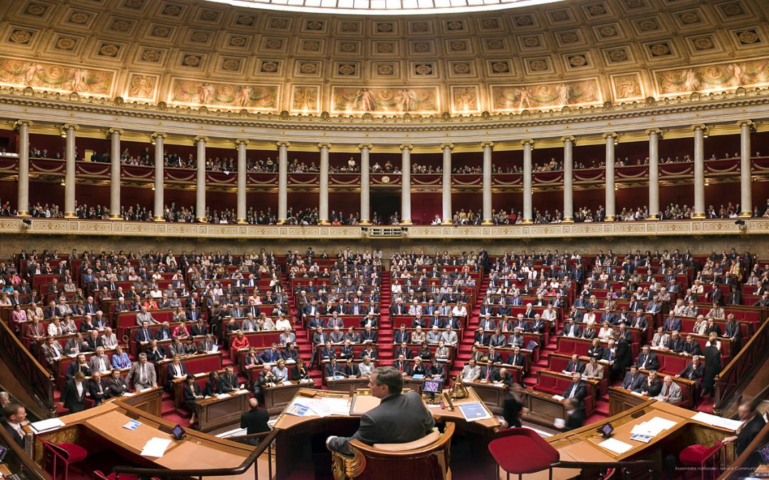 GPA : une proposition de loi constitutionnelle en France