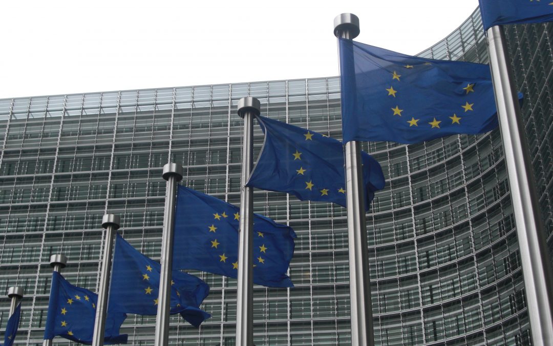 Bruxelles appuie la levée du moratoire du maïs OGM