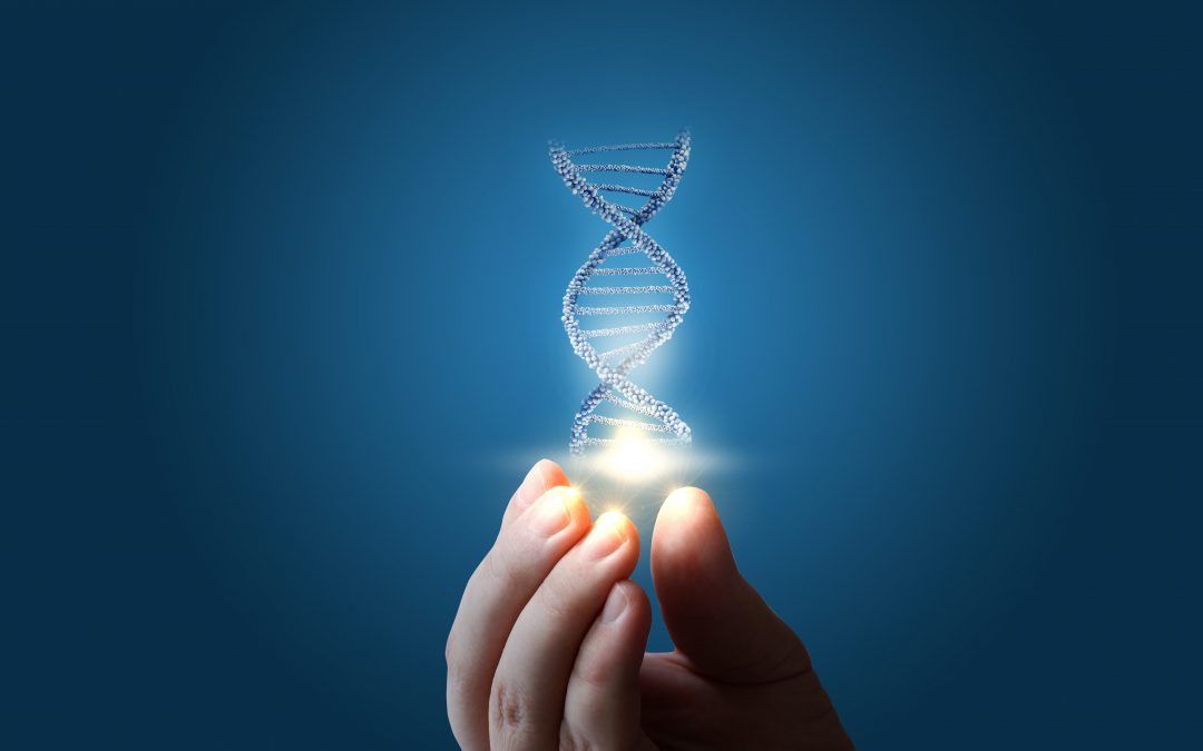 13 sociétés de biotechnologies s’engagent contre l’édition du génome des cellules germinales