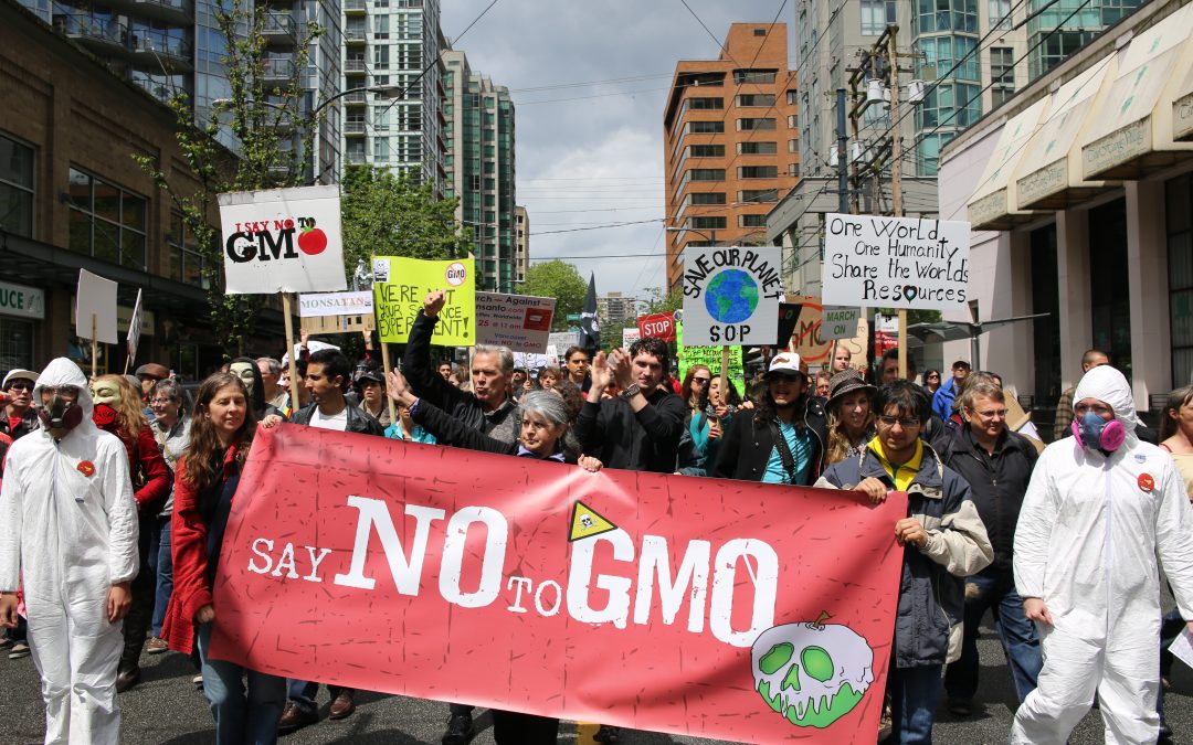 OGM : une loi se prépare…