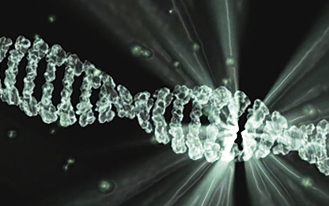 CRISPR-Cas 9 : une « perte chromosomique » répandue lors de l’édition des lymphocytes T humains
