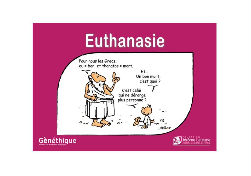 A euthanasia manual