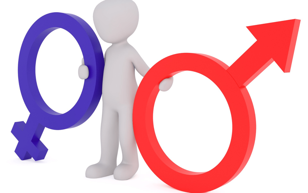 Ecosse : un projet de loi sur les transgenres