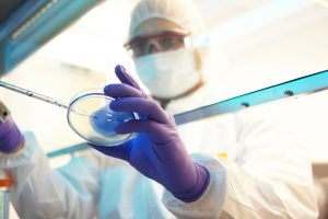 Cellules souches humaines : L’ISSCR met à jour les normes pour la recherche