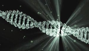 SeekRNA : un outil d’édition génétique « plus précis et plus souple »