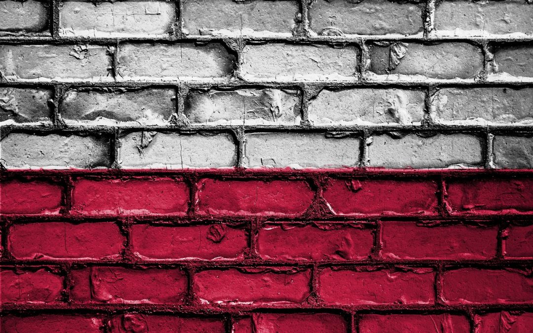 Pologne : deux propositions de loi pour légaliser l’avortement