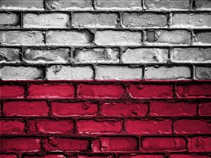 Pologne : deux propositions de loi pour légaliser l’avortement