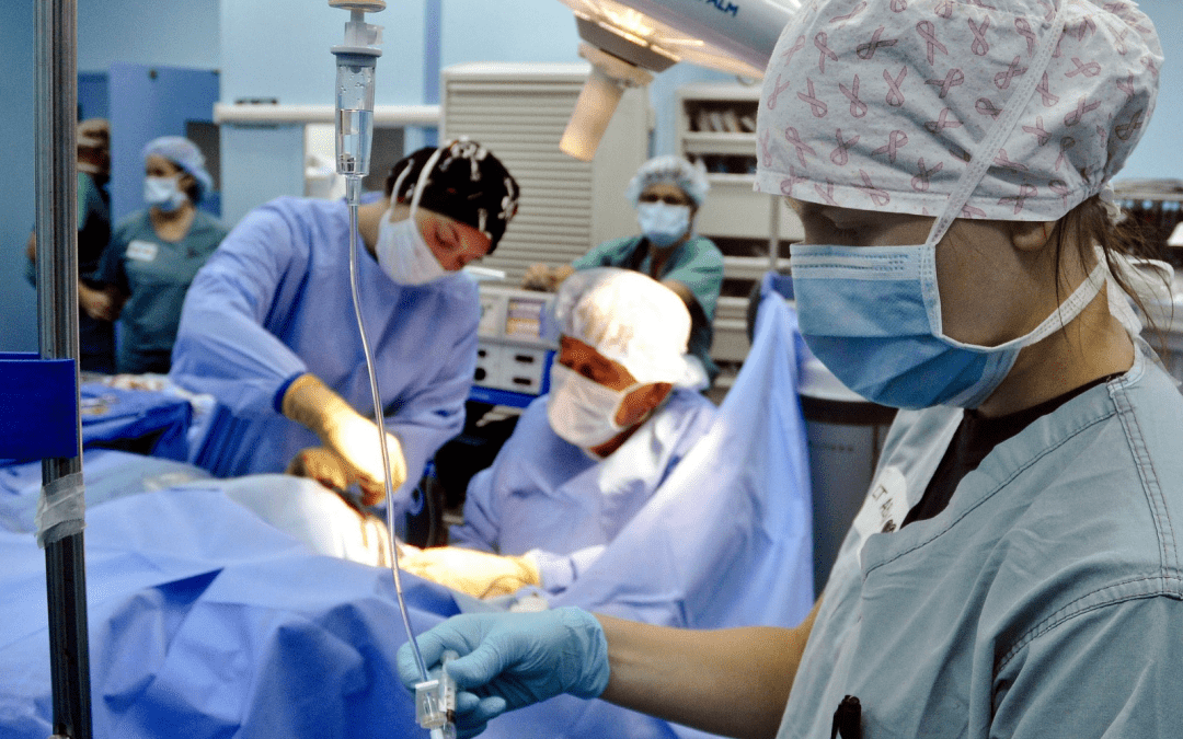 Suisse : une hausse de 22 % du nombre de donneurs d’organes