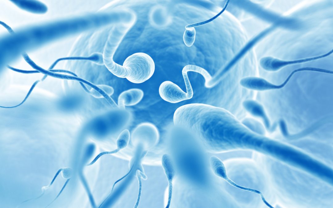 PMA : l’ABM mutualise « l’utilisation des paillettes de spermatozoïdes »