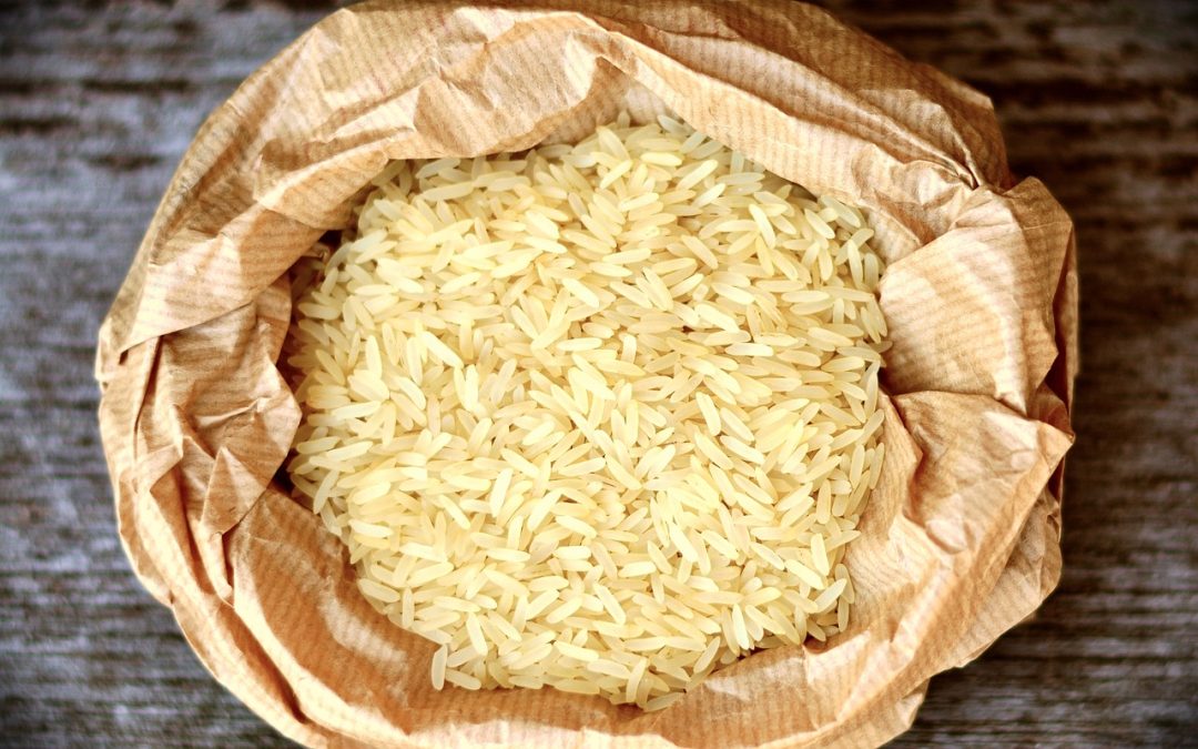 Des chercheurs sud-coréens développent un « riz à la viande »