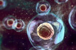 Quels sont les objectifs de la recherche sur les cellules souches embryonnaires ?
