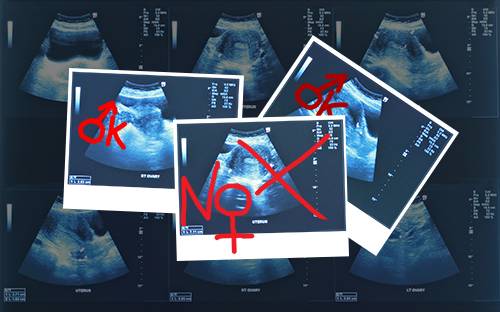 Documentaire ''La Malédiction de naître fille''