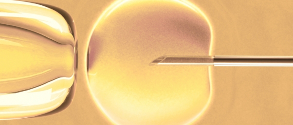 Plus de 250 000 bébés sont nés par FIV en Angleterre