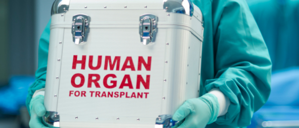 Le plus vaste réseau international de trafic d'organes humains arrêté en Egypte
