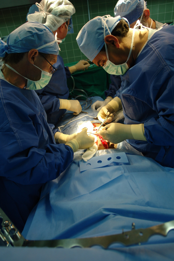 Don d'organes : Des objectifs toujours à la hausse