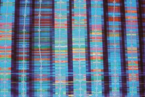 Les Suisses en passe d’autoriser le DPI