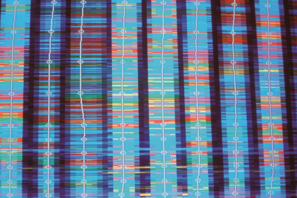 PMA : Le screening génétique préimplantatoire « n’a pas d’intérêt »