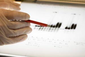 Les sénateurs bâclent l’examen du projet de loi de bioéthique : entre désinvolture et transgressions