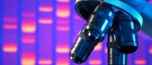 Mexique : une proposition de loi pour interdire la recherche sur les embryons humains