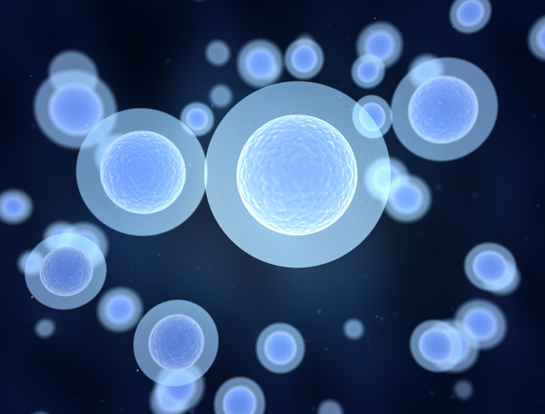 Un appel d’offres pour la recherche sur les cellules souches thérapeutiques