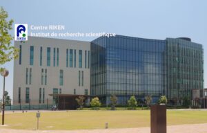 Cellules iPS et DMLA : poursuite de l’essai japonais sous de nouvelles modalités