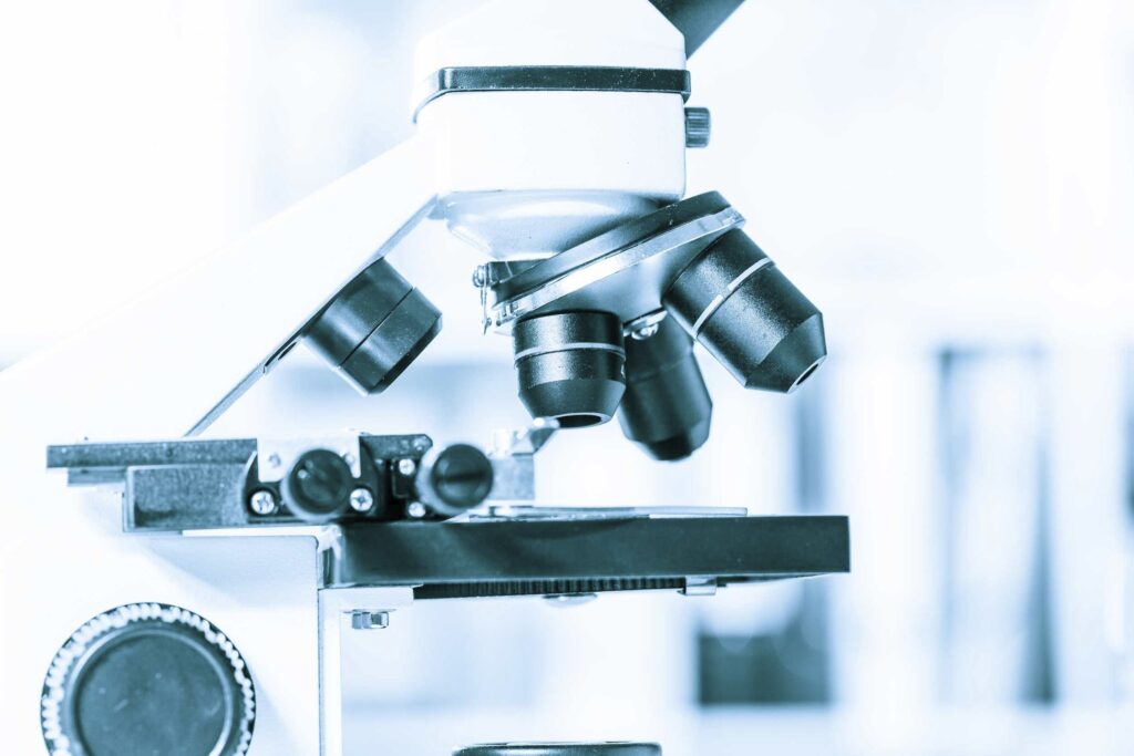 L'utilité de la recherche sur l'embryon est loin de faire l'unanimité