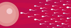 CCNE - Avis n° 40 - Avis sur le transfert d'embryons après décès du conjoint (ou du concubin)