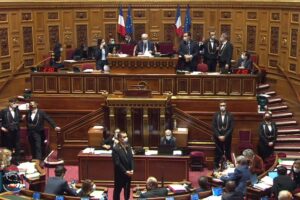 [Infographie] Loi de bioéthique : ce qu’ont voté les Sénateurs en 2e lecture