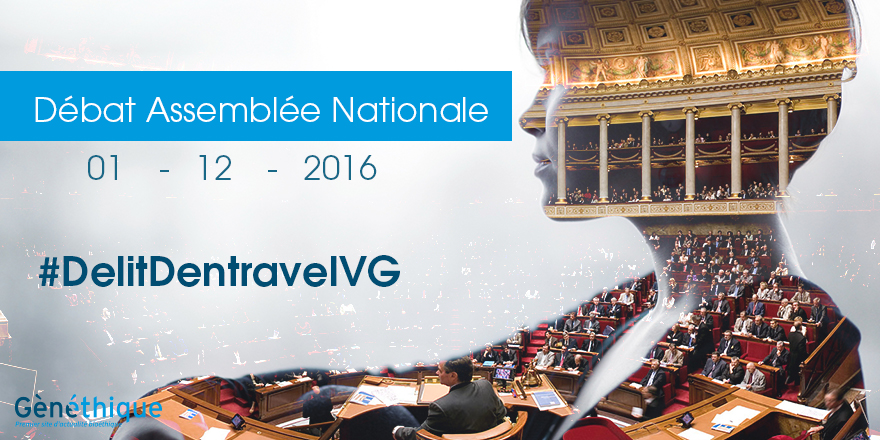 Délit d'entrave numérique à l'IVG : L’Assemblée nationale adopte la censure