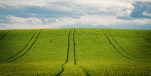 NTG : un essai en plein champ en Suisse