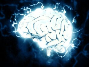 Elon Musk présente le premier dispositif d'interface cerveau-machine