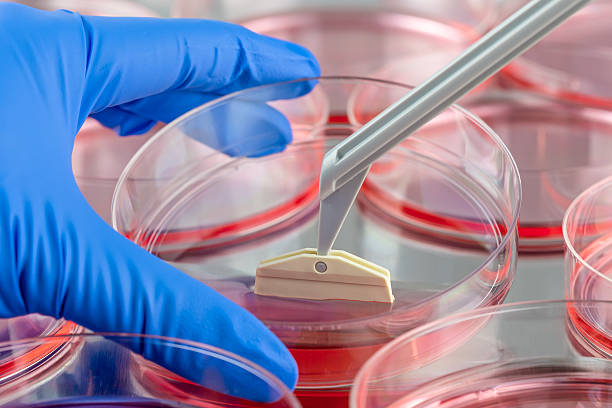 Les cellules iPS aident la recherche pour traiter la maladie d’Alzheimer