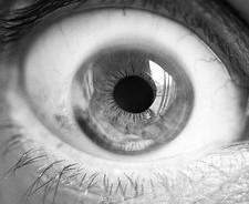 Cellules iPS au Japon : approbation d’une nouvelle étude clinique pour soigner des troubles de la cornée