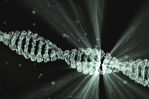 Des poulets génétiquement modifiés par CRISPR résistant au virus de la leucose aviaire