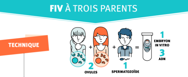Un bébé, 3 ADN, 3 transgressions