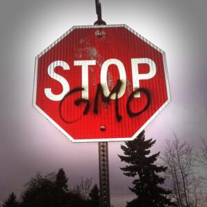 Des agriculteurs américains abandonnent les OGM pour revenir aux semences classiques