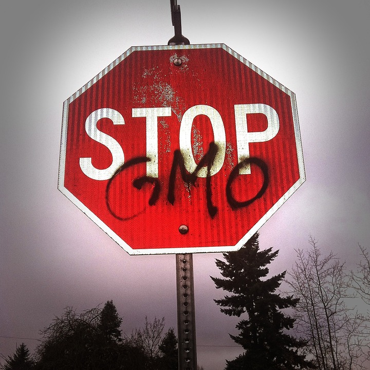 Des agriculteurs américains abandonnent les OGM pour revenir aux semences classiques