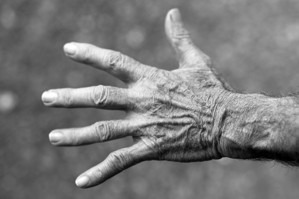 Une première greffe de main adulte en Pologne