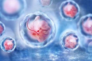 Projet de loi bioéthique : « Oui, les chimères ont raison d’effrayer »